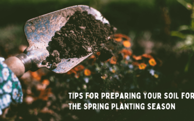 Tips for Planting Your Soil for the Spring Planting Season